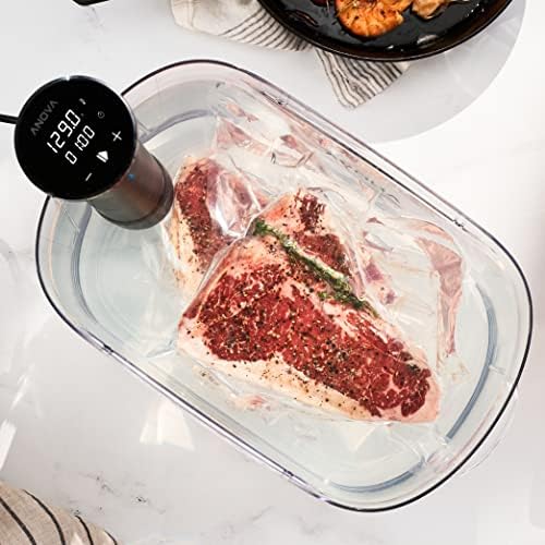 Cozinhador Sous-Vide de Precisão Anova Culinary Nano / Inkbird 1000W com Controlo Wi-Fi